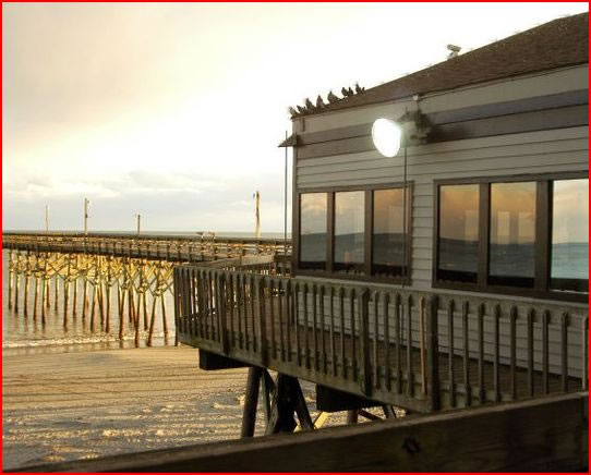 Pier 14 Oceanfront Dining Restaurant MyrtleBeach