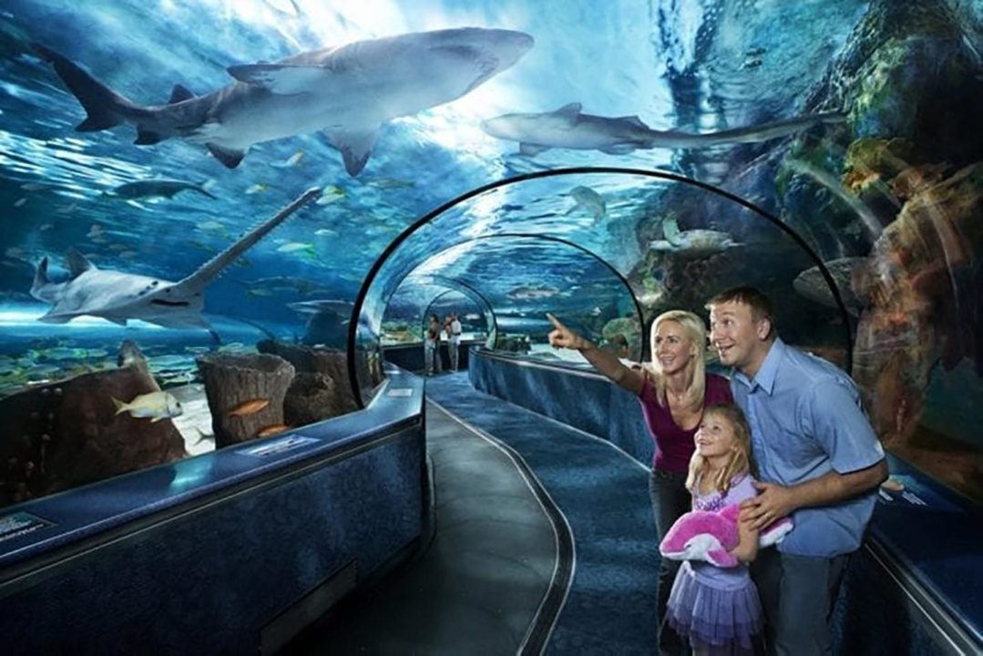 Best Educational Attractions for Kids