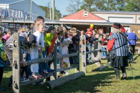 Mythical and Medieval Festival