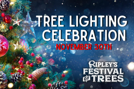 Ripley’s Aquarium Tree Lighting Spectacular